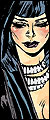 DC Comics: Catwoman (Selina Kyle), 'Stolen Couture'